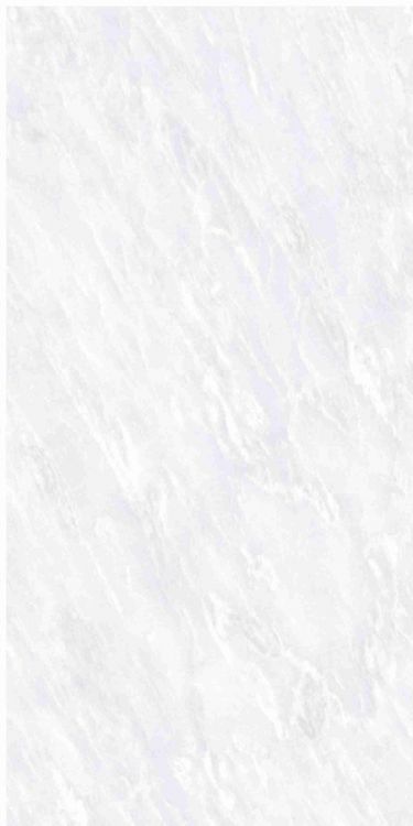 OL Vivid White Matte 12 x 24